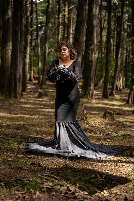 Elegant Evening Gown